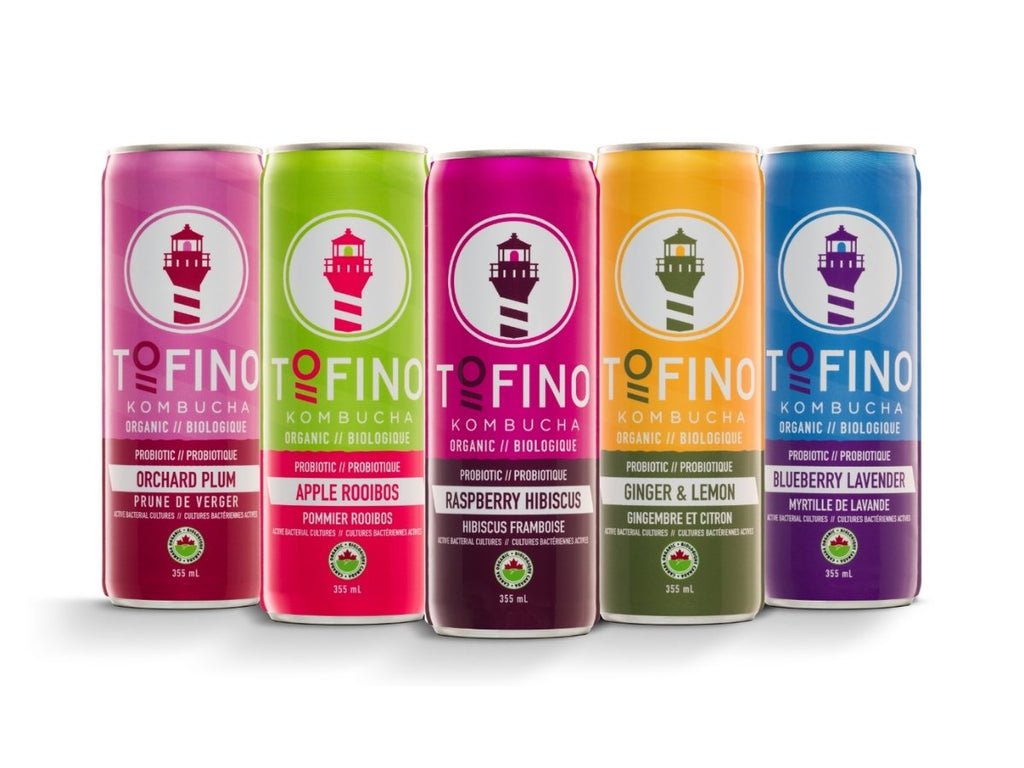Probiotic Kombucha Mix Pack (4x6pk)