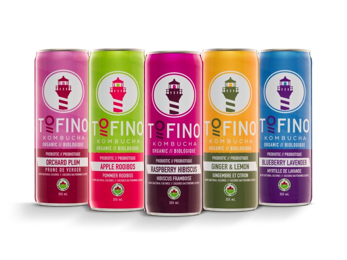 Probiotic Kombucha Mix Pack (4x6pk)